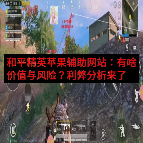 和平精英苹果辅助网站：有啥价值与风险？利弊分析来了