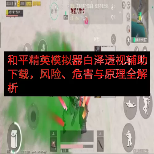 和平精英模拟器白泽透视辅助下载，风险、危害与原理全解析