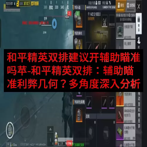 和平精英双排建议开辅助瞄准吗苹-和平精英双排：辅助瞄准利弊几何？多角度深入分析
