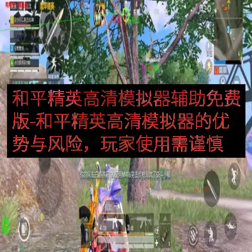 和平精英高清模拟器辅助免费版-和平精英高清模拟器的优势与风险，玩家使用需谨慎