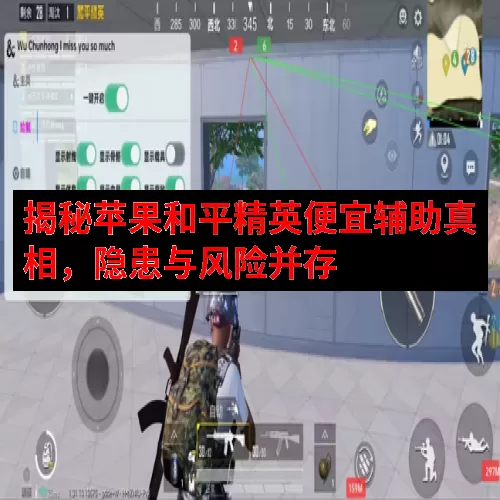 揭秘苹果和平精英便宜辅助真相，隐患与风险并存