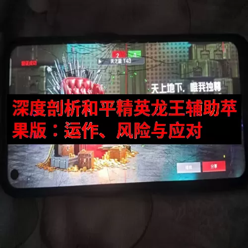深度剖析和平精英龙王辅助苹果版：运作、风险与应对