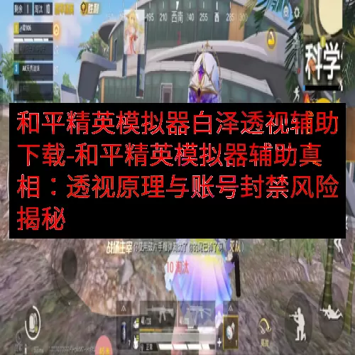 和平精英模拟器白泽透视辅助下载-和平精英模拟器辅助真相：透视原理与账号封禁风险揭秘