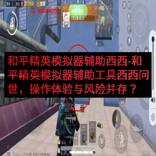 和平精英模拟器辅助西西-和平精英模拟器辅助工具西西问世，操作体验与风险并存？