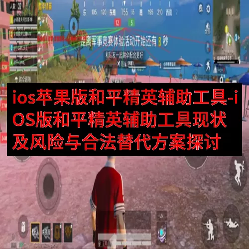 ios苹果版和平精英辅助工具-iOS版和平精英辅助工具现状及风险与合法替代方案探讨