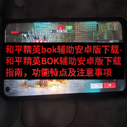 和平精英bok辅助安卓版下载-和平精英BOK辅助安卓版下载指南，功能特点及注意事项