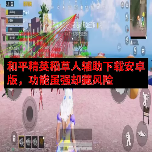 和平精英稻草人辅助下载安卓版，功能虽强却藏风险