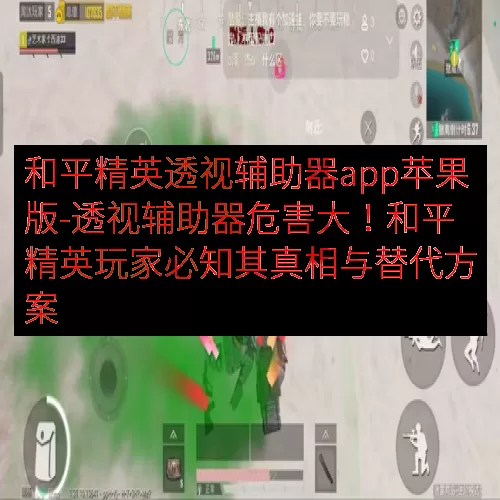 和平精英透视辅助器app苹果版-透视辅助器危害大！和平精英玩家必知其真相与替代方案