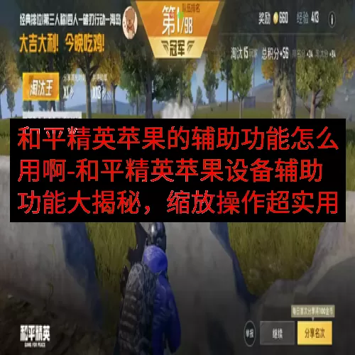 和平精英苹果的辅助功能怎么用啊-和平精英苹果设备辅助功能大揭秘，缩放操作超实用