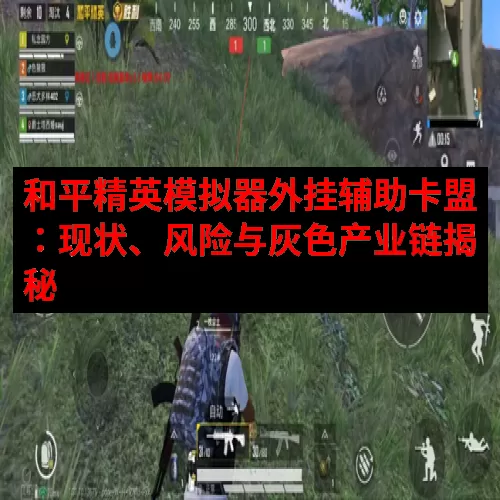 和平精英模拟器外挂辅助卡盟：现状、风险与灰色产业链揭秘