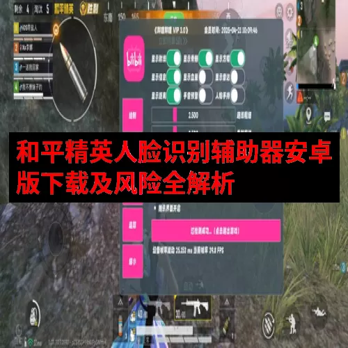 和平精英人脸识别辅助器安卓版下载及风险全解析