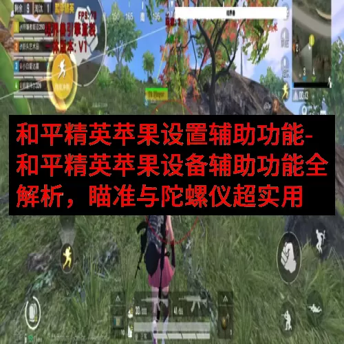 和平精英苹果设置辅助功能-和平精英苹果设备辅助功能全解析，瞄准与陀螺仪超实用