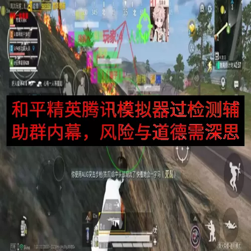 和平精英腾讯模拟器过检测辅助群内幕，风险与道德需深思