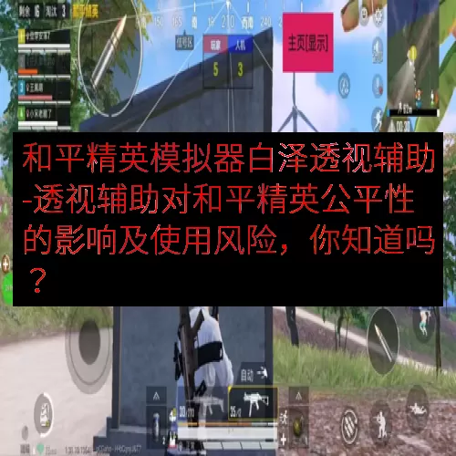 和平精英模拟器白泽透视辅助-透视辅助对和平精英公平性的影响及使用风险，你知道吗？