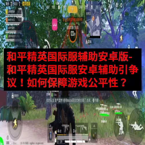 和平精英国际服辅助安卓版-和平精英国际服安卓辅助引争议！如何保障游戏公平性？