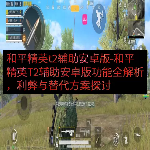 和平精英t2辅助安卓版-和平精英T2辅助安卓版功能全解析，利弊与替代方案探讨