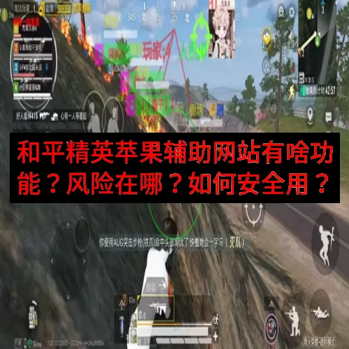 和平精英苹果辅助网站有啥功能？风险在哪？如何安全用？