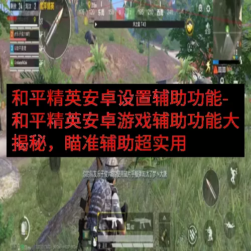 和平精英安卓设置辅助功能-和平精英安卓游戏辅助功能大揭秘，瞄准辅助超实用