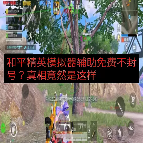 和平精英模拟器辅助免费不封号？真相竟然是这样
