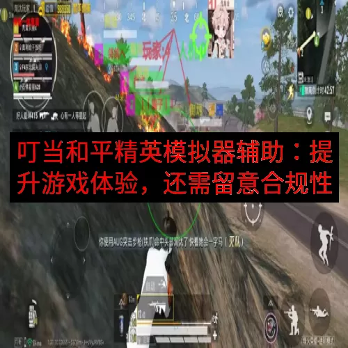 叮当和平精英模拟器辅助：提升游戏体验，还需留意合规性