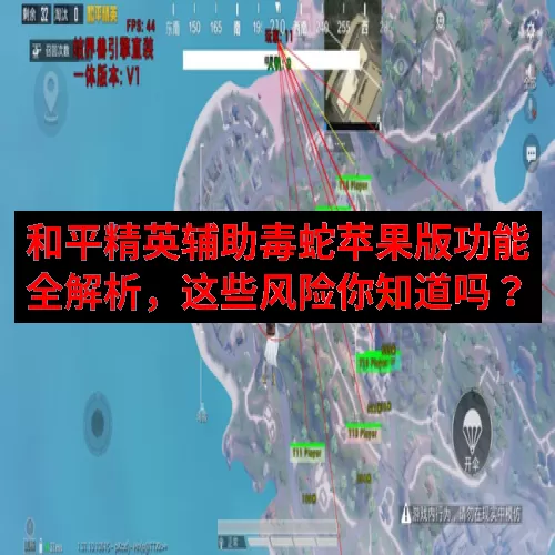 和平精英辅助毒蛇苹果版功能全解析，这些风险你知道吗？