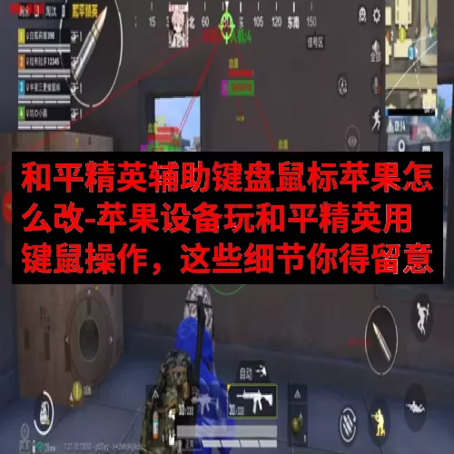 和平精英辅助键盘鼠标苹果怎么改-苹果设备玩和平精英用键鼠操作，这些细节你得留意