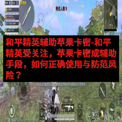 和平精英辅助苹果卡密-和平精英受关注，苹果卡密成辅助手段，如何正确使用与防范风险？