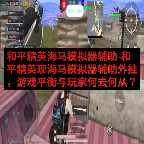 和平精英海马模拟器辅助-和平精英现海马模拟器辅助外挂，游戏平衡与玩家何去何从？