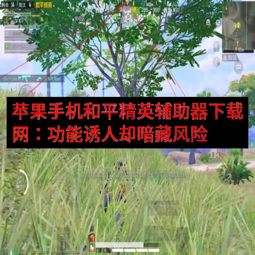 苹果手机和平精英辅助器下载网：功能诱人却暗藏风险