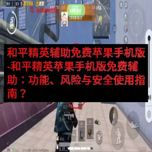 和平精英辅助免费苹果手机版-和平精英苹果手机版免费辅助：功能、风险与安全使用指南？
