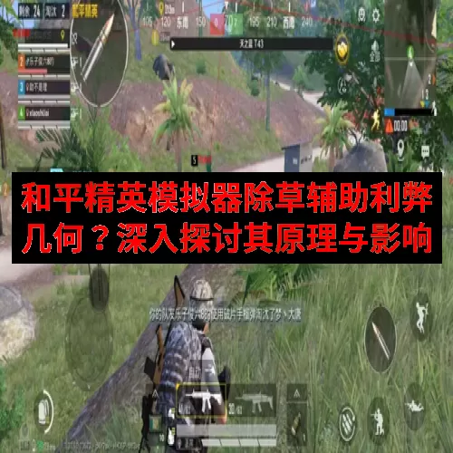 和平精英模拟器除草辅助利弊几何？深入探讨其原理与影响