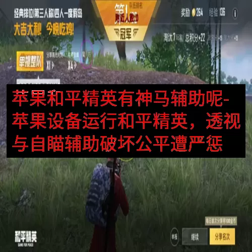 苹果和平精英有神马辅助呢-苹果设备运行和平精英，透视与自瞄辅助破坏公平遭严惩