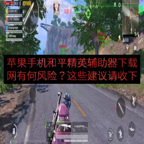 苹果手机和平精英辅助器下载网有何风险？这些建议请收下