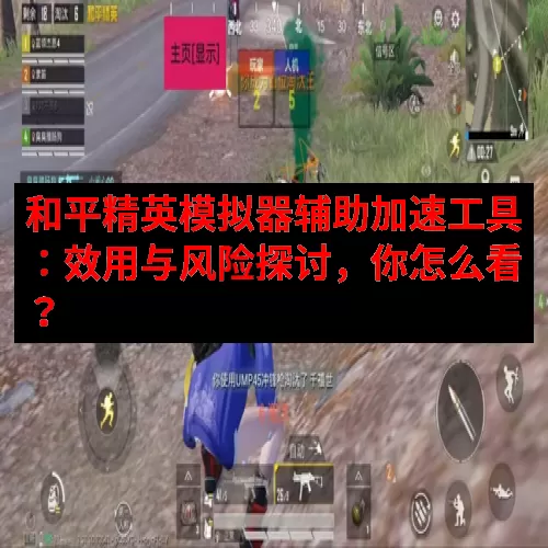 和平精英模拟器辅助加速工具：效用与风险探讨，你怎么看？