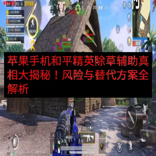 苹果手机和平精英除草辅助真相大揭秘！风险与替代方案全解析
