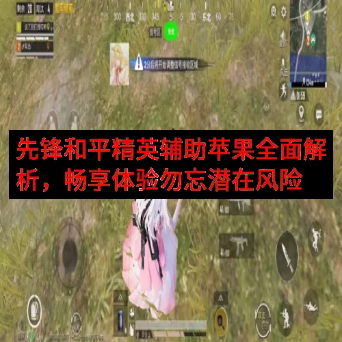 先锋和平精英辅助苹果全面解析，畅享体验勿忘潜在风险