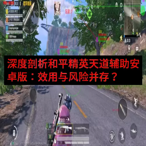 深度剖析和平精英天道辅助安卓版：效用与风险并存？