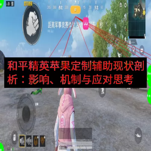 和平精英苹果定制辅助现状剖析：影响、机制与应对思考