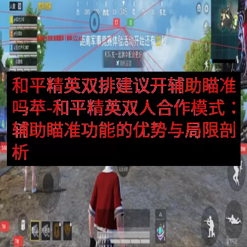 和平精英双排建议开辅助瞄准吗苹-和平精英双人合作模式：辅助瞄准功能的优势与局限剖析