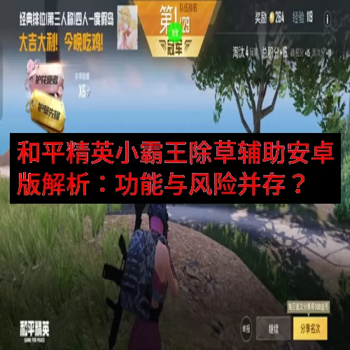 和平精英小霸王除草辅助安卓版解析：功能与风险并存？