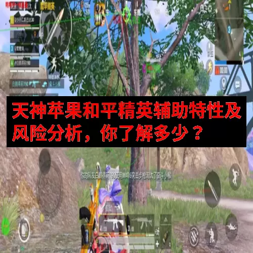 天神苹果和平精英辅助特性及风险分析，你了解多少？