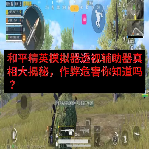 和平精英模拟器透视辅助器真相大揭秘，作弊危害你知道吗？