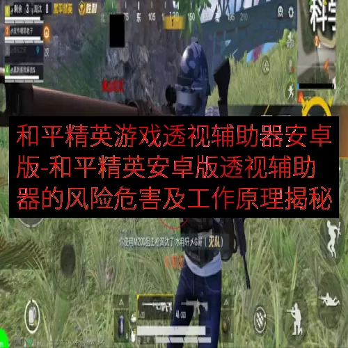 和平精英游戏透视辅助器安卓版-和平精英安卓版透视辅助器的风险危害及工作原理揭秘