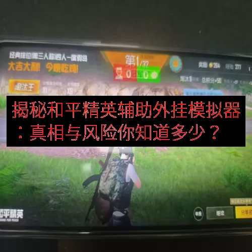 揭秘和平精英辅助外挂模拟器：真相与风险你知道多少？