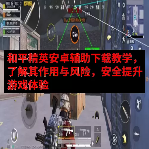 和平精英安卓辅助下载教学，了解其作用与风险，安全提升游戏体验