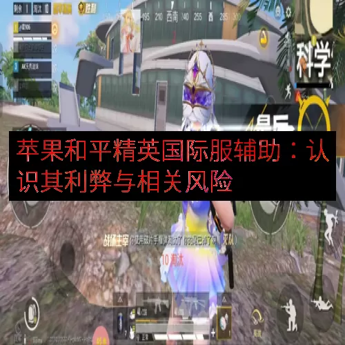 苹果和平精英国际服辅助：认识其利弊与相关风险