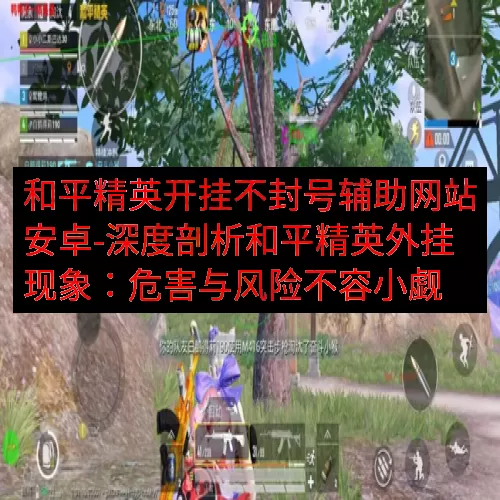 和平精英开挂不封号辅助网站安卓-深度剖析和平精英外挂现象：危害与风险不容小觑