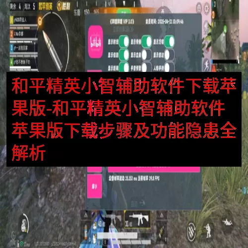 和平精英小智辅助软件下载苹果版-和平精英小智辅助软件苹果版下载步骤及功能隐患全解析