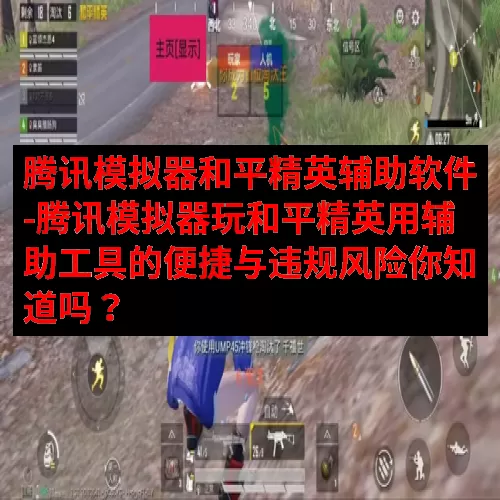 腾讯模拟器和平精英辅助软件-腾讯模拟器玩和平精英用辅助工具的便捷与违规风险你知道吗？