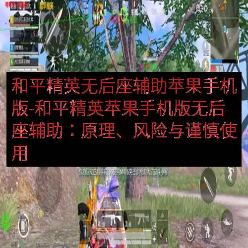 和平精英无后座辅助苹果手机版-和平精英苹果手机版无后座辅助：原理、风险与谨慎使用